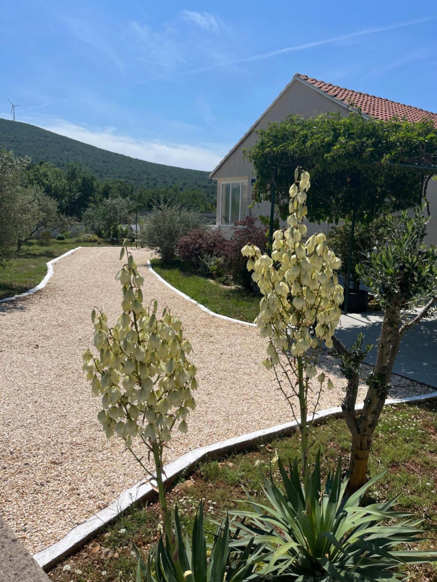 Mediterranean Olive Waterfallskrka-Croatia Gulin Exterior foto